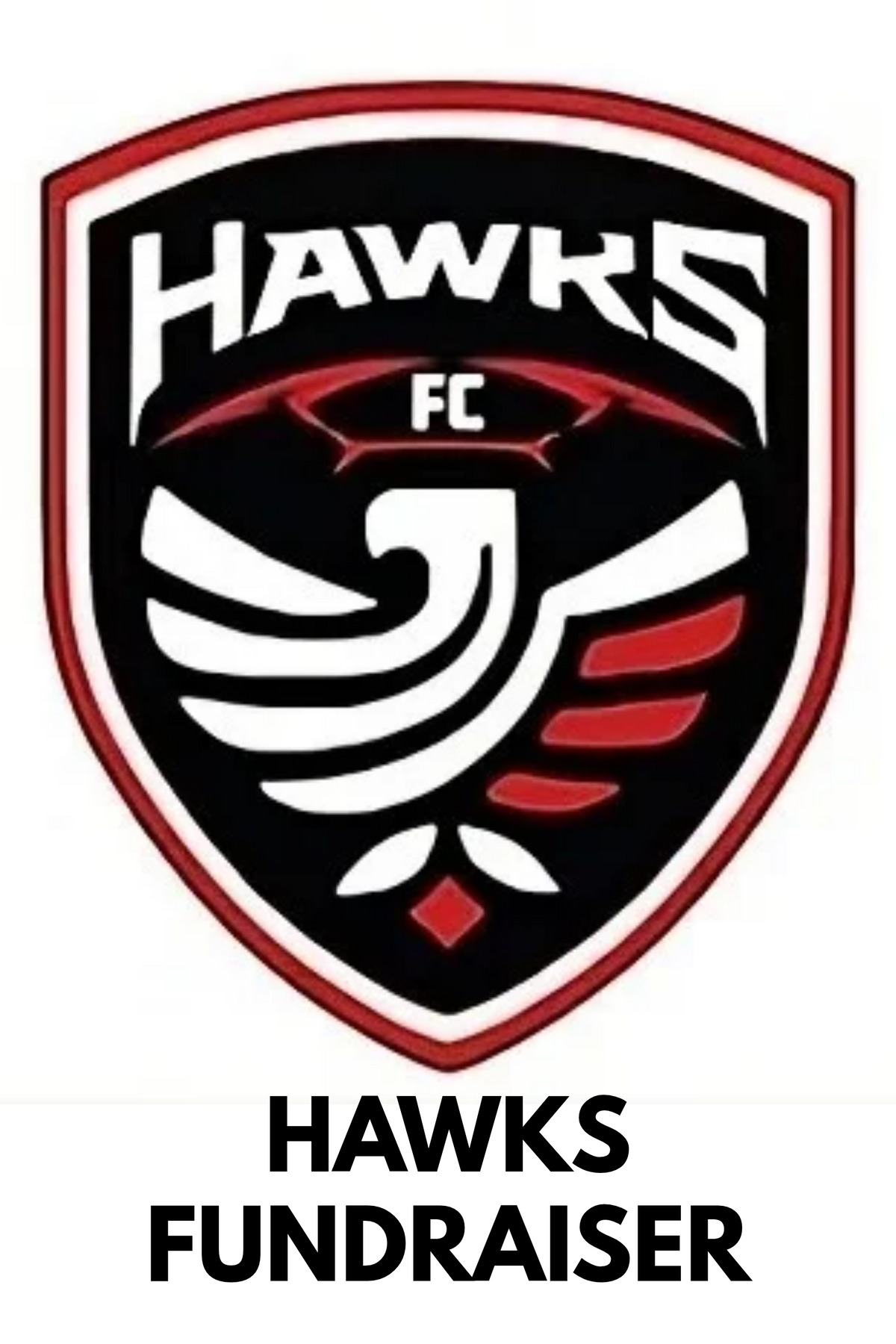 U11 Hawks Select