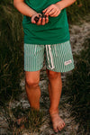 NEW! Cabana Stripe (Green) Adventure Swim Shorts