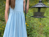 The Thatcher Everyday Dress in Blue Mist