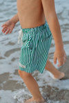 NEW! Cabana Stripe (Green) Adventure Swim Shorts