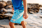 Super Teal Gingham Adventure Swim Shorts