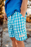 Super Teal Gingham Adventure Swim Shorts