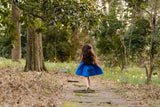 The Thatcher Everyday Dress in Blue