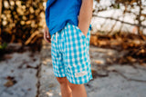 Super Teal Gingham Adventure Swim Shorts